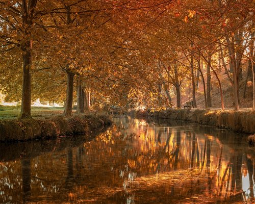 Jarra de agua mineral con rodajas de fruta fresca y hielo